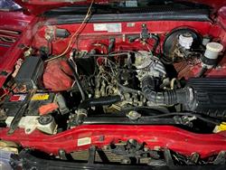 جريت وول دير